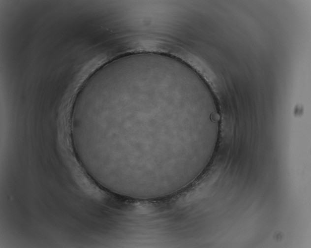 X0000103950481200809261752