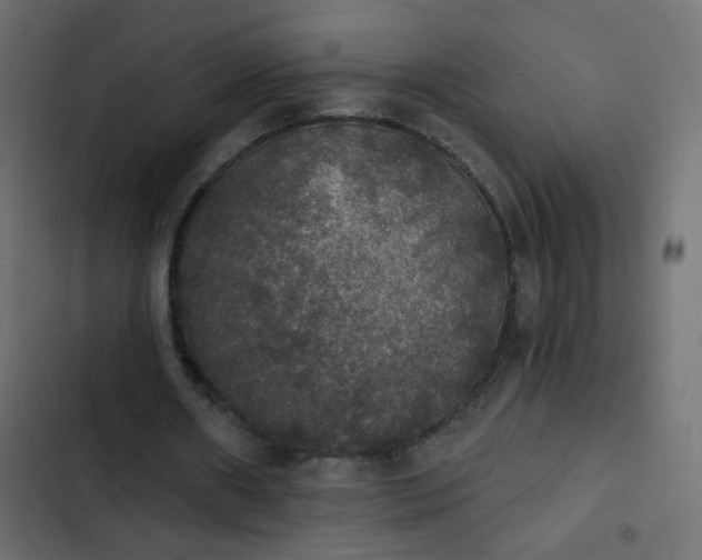 X0000103950482200809261752