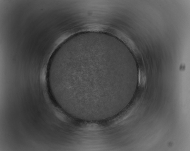 X0000103950483200809261752