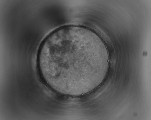 X0000103950484200809261752