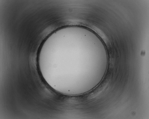 X0000103950485200809261752