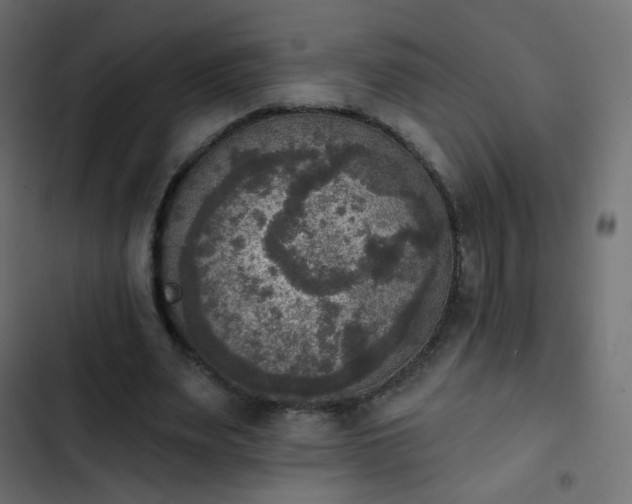 X0000103950487200809261752