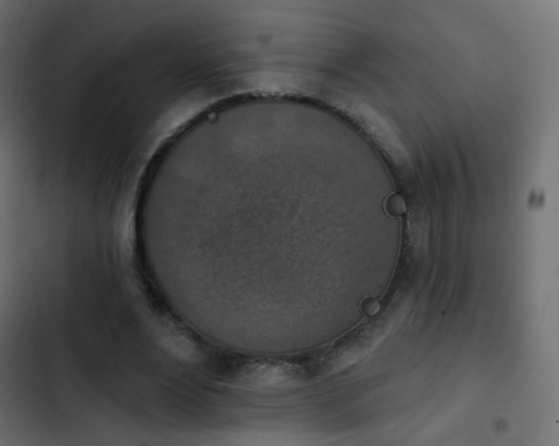 X0000103950488200809261752