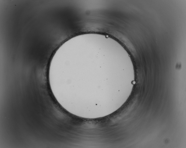 X0000103950489200809261752