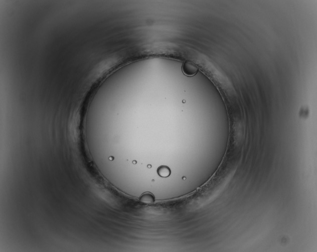 X0000103950490200809261751