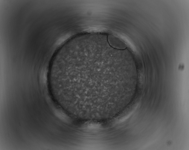 X0000103950491200809261751