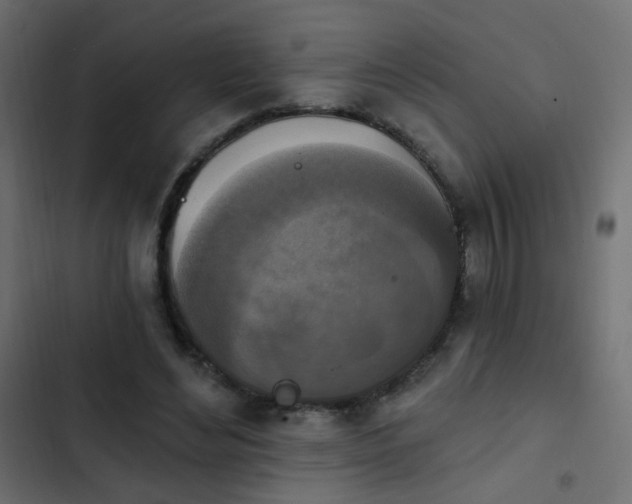 X0000103950492200809261751