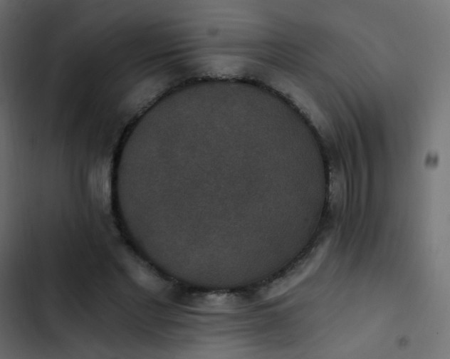 X0000103950493200809261751