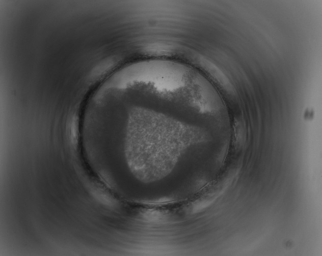 X0000103950494200809261751