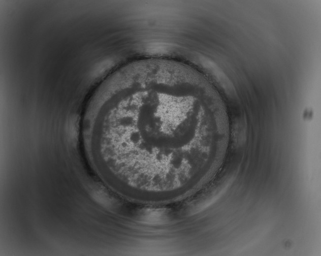 X0000103950495200809261751