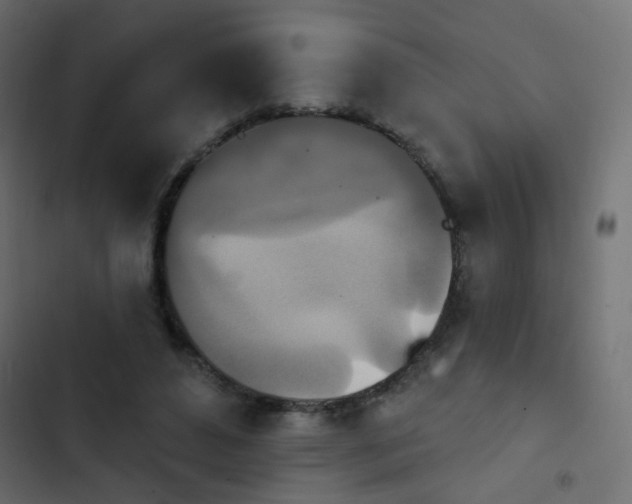 X0000103950496200809261751