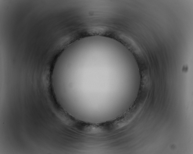 X0000103950498200809261751