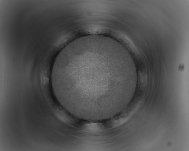 X0000103950499200809261751