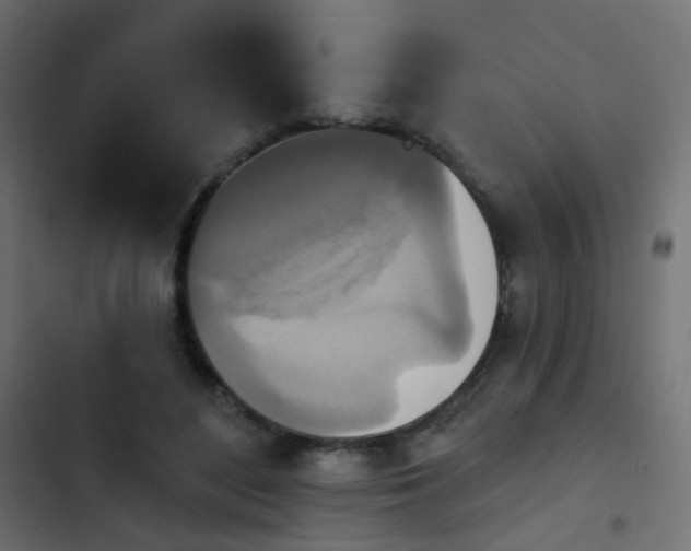 X0000103950500200809261751