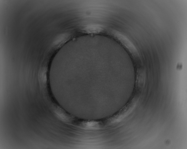 X0000103950501200809261751