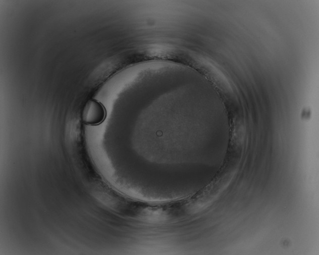 X0000103950502200809261751