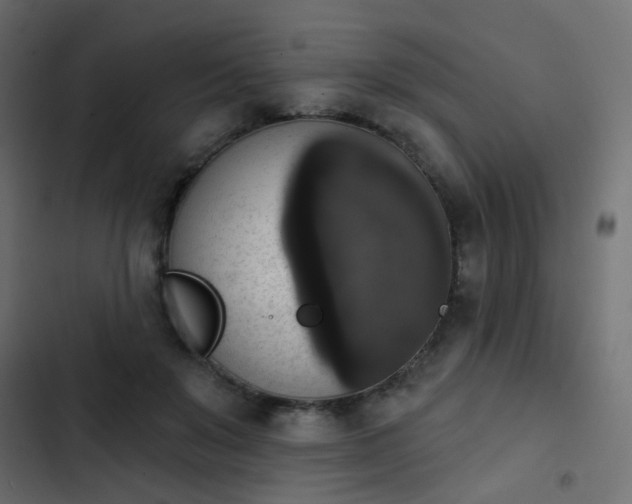 X0000103950503200809261751