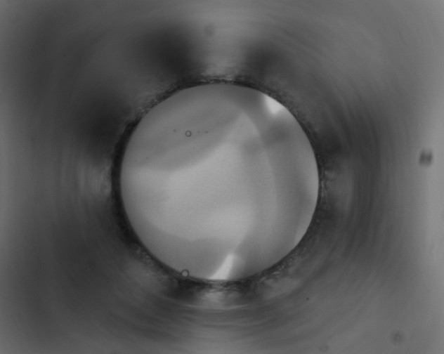 X0000103950504200809261751