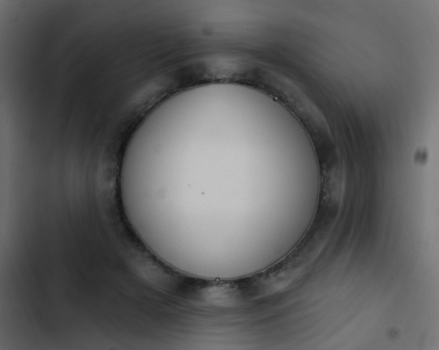 X0000103950505200809261751