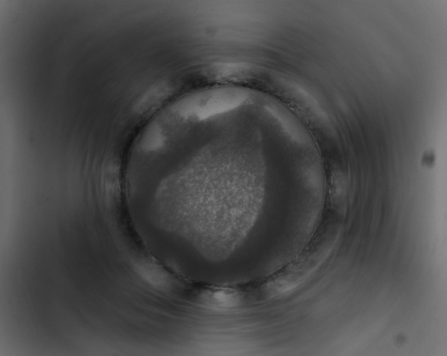 X0000103950506200809261751