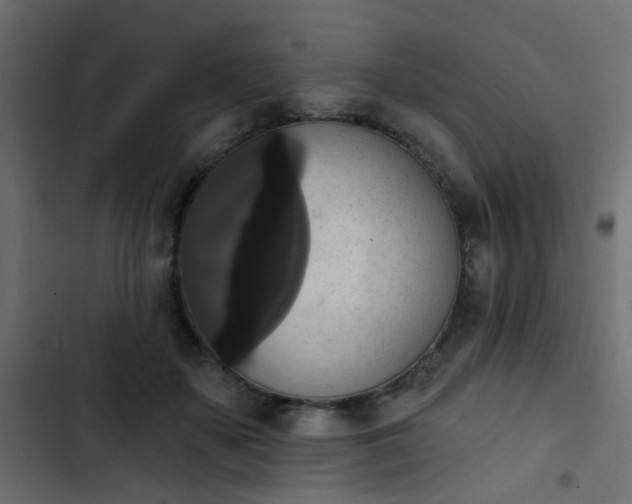 X0000103950507200809261751