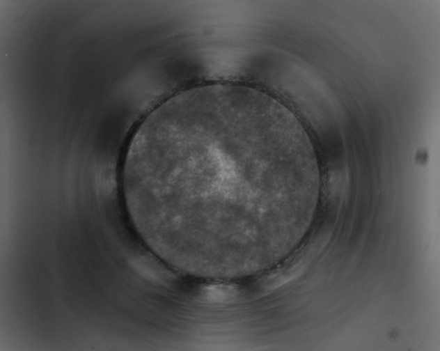 X0000103950508200809261751