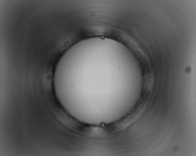 X0000103950509200809261751