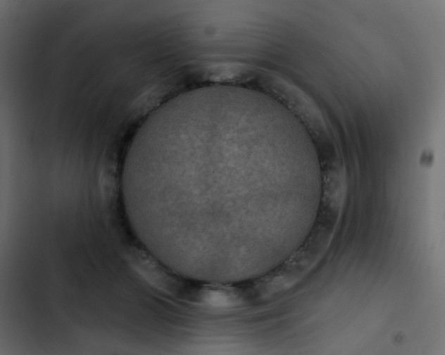 X0000103950510200809261751