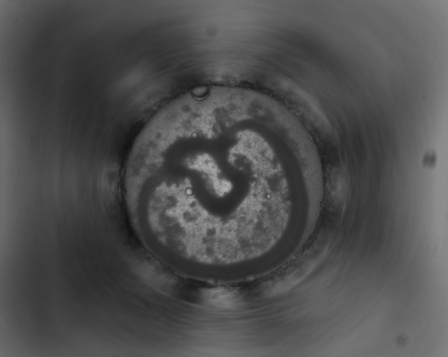 X0000103950511200809261751