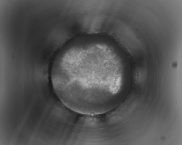 X0000103950512200809261751