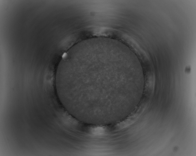 X0000103950513200809261751