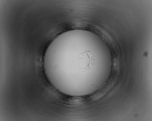 X0000103950514200809261751