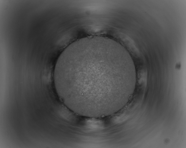 X0000103950515200809261751