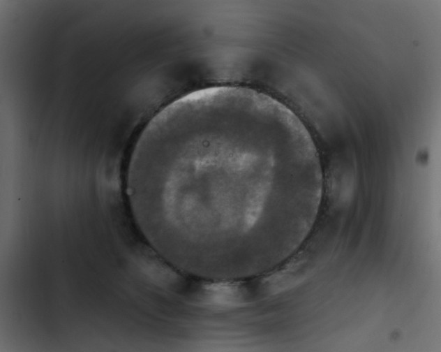 X0000103950516200809261751