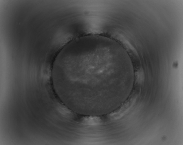 X0000103950517200809261751