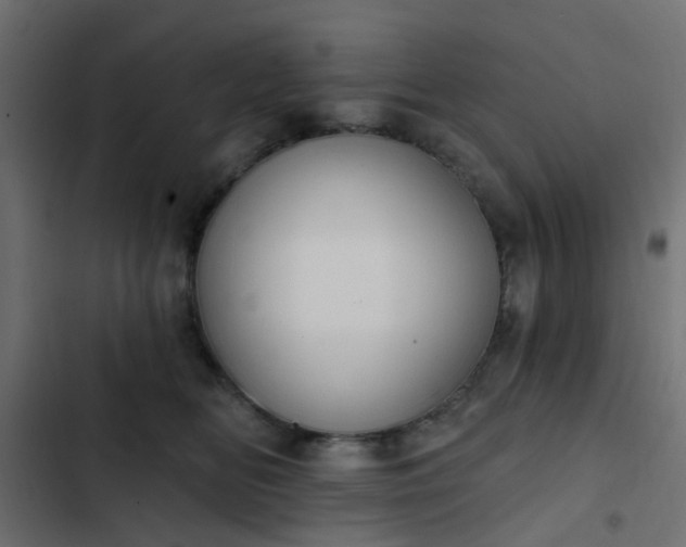 X0000103950518200809261751