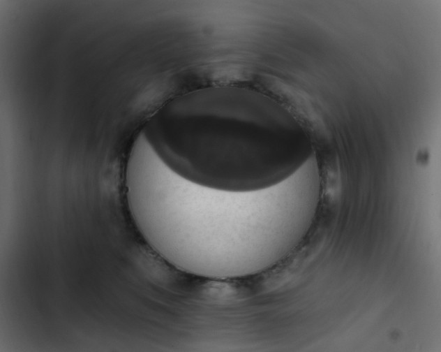 X0000103950519200809261751