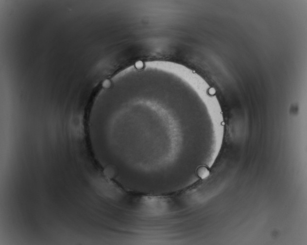 X0000103950520200809261751