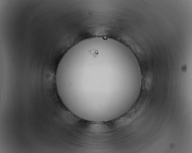 X0000103950521200809261751