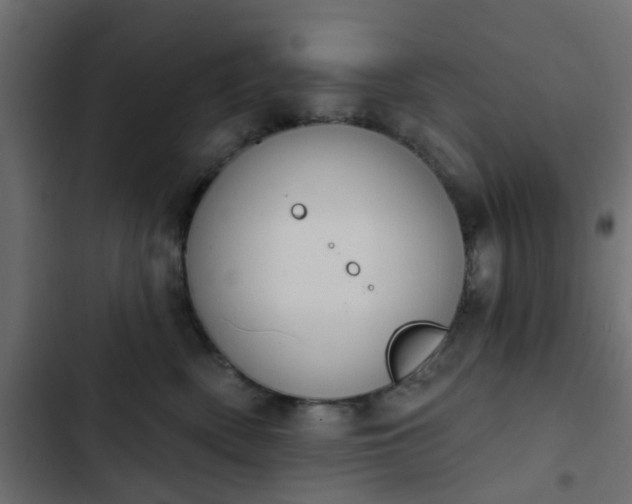 X0000103950522200809261751