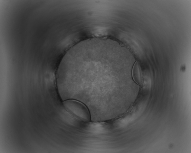 X0000103950523200809261751