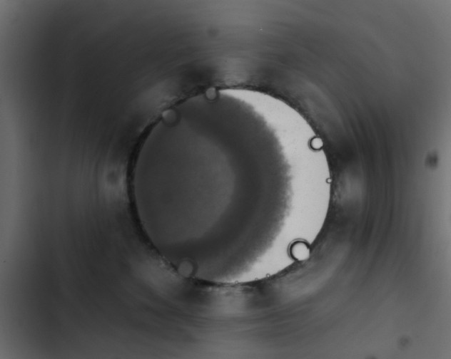 X0000103950524200809261751