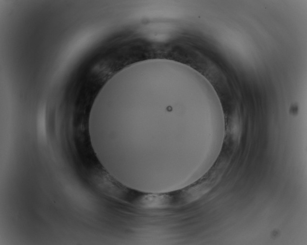 X0000103950526200809261751