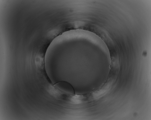 X0000103950527200809261751