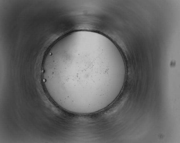 X0000103950529200809261750