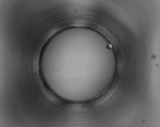 X0000103950530200809261750