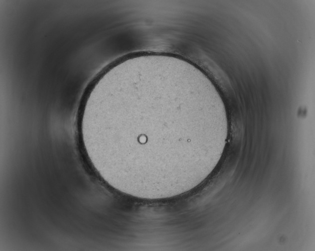 X0000103950532200809261750