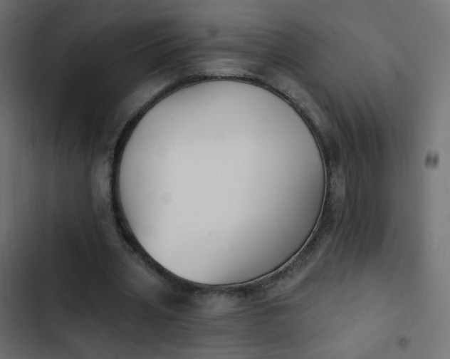 X0000103950533200809261750