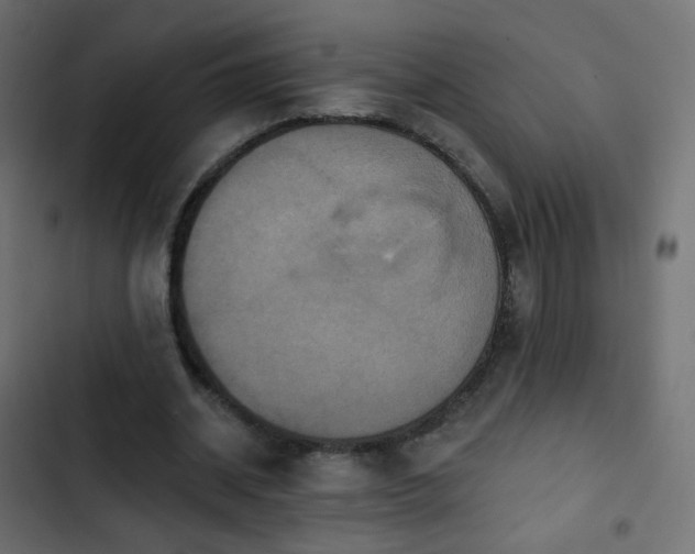 X0000103950534200809261750