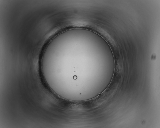 X0000103950535200809261750